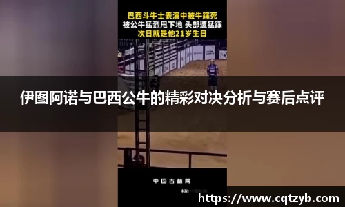 bellbet贝博app